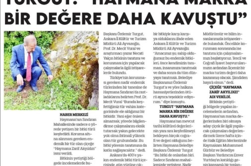 Sonsöz Gazetesi