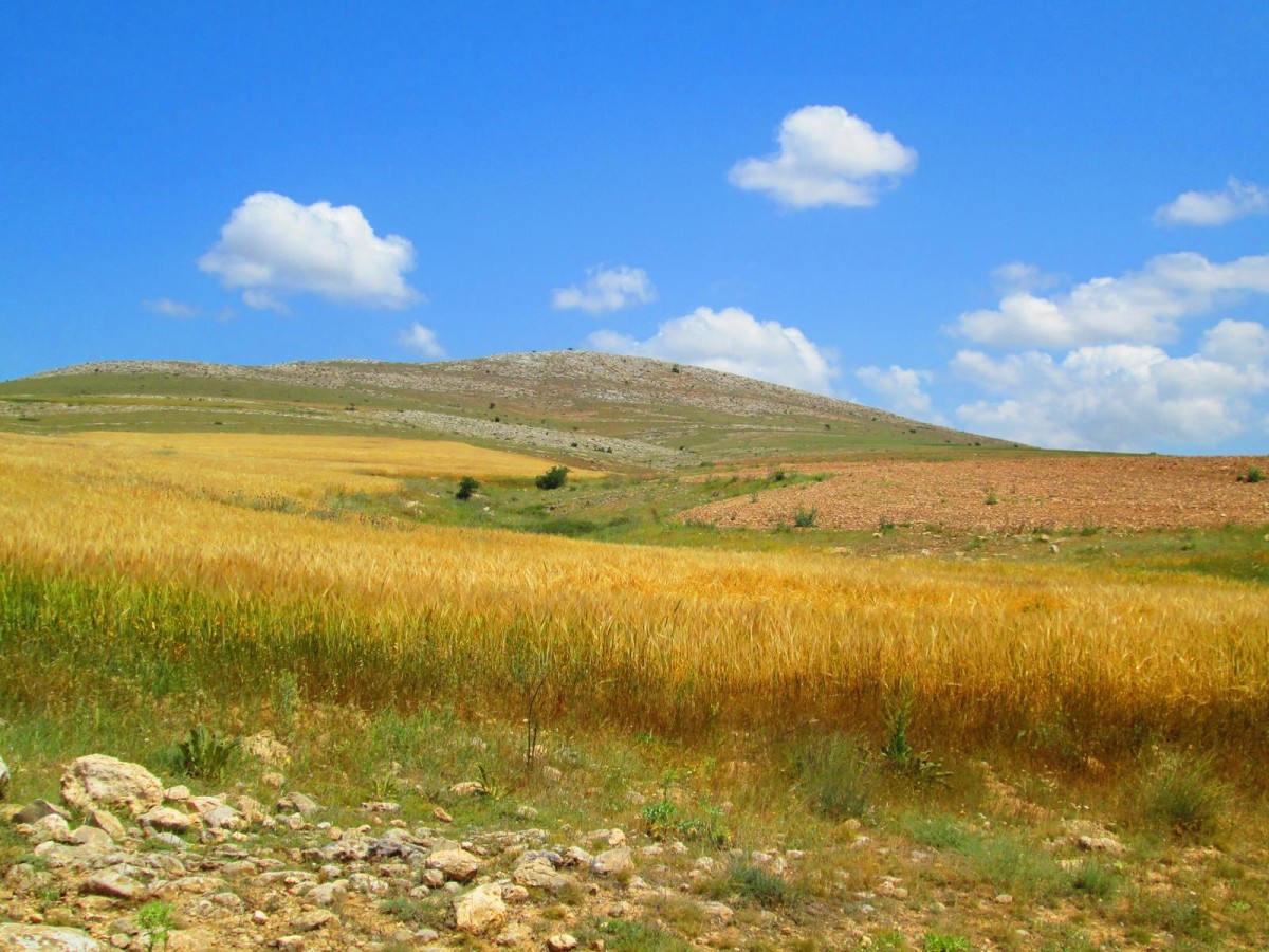 Türbetepe